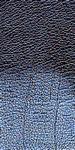 Blue leather sample